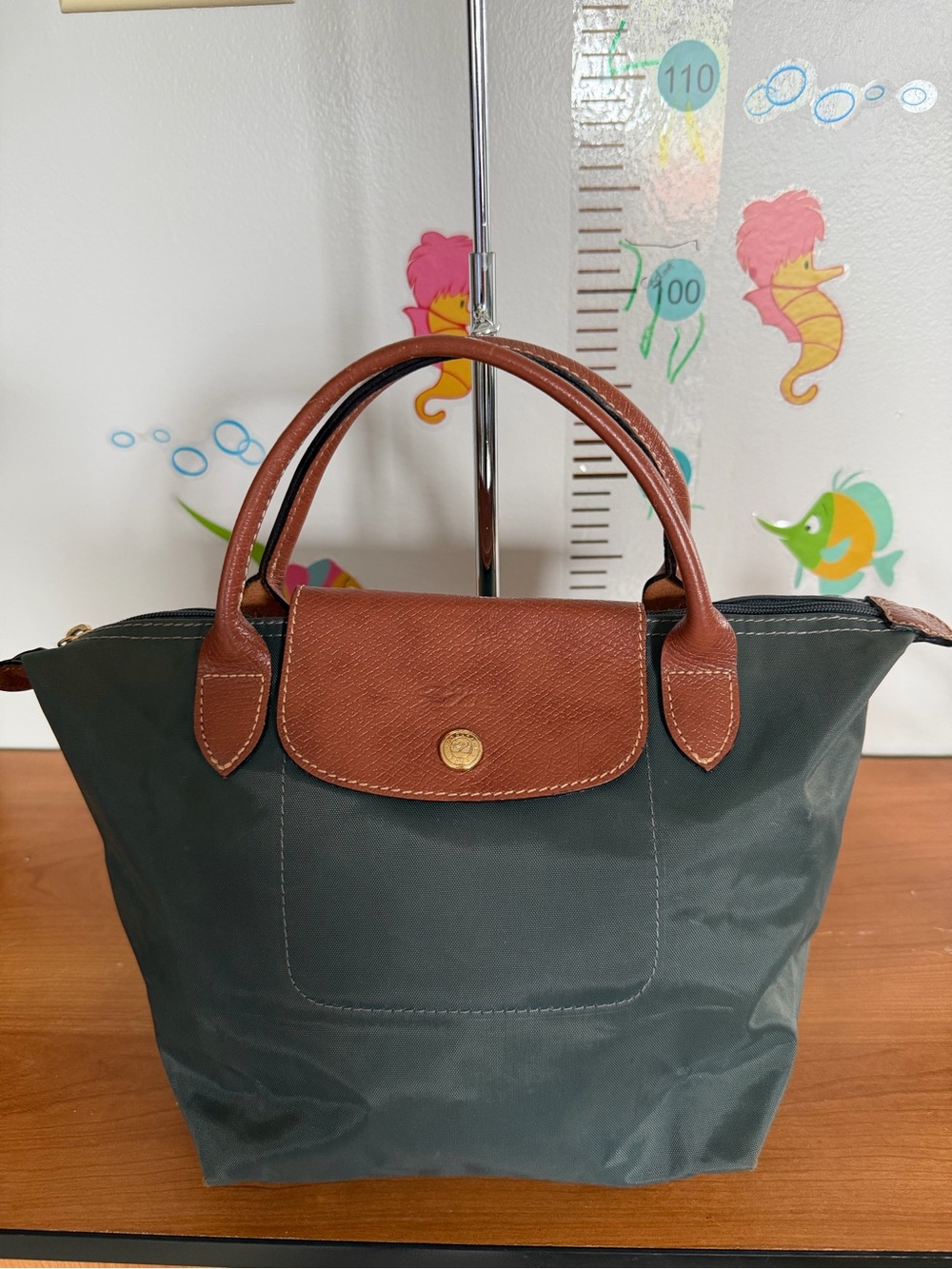 Longchamp Small Le Pliage Tote in Dark Green with Brown Trim